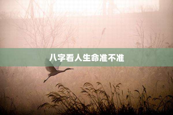 八字看人生命准不准