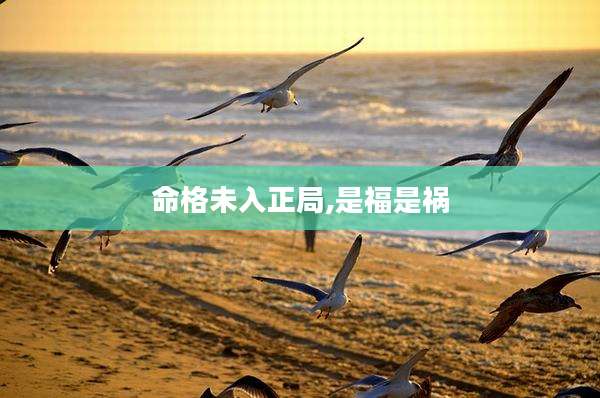 命格未入正局,是福是祸