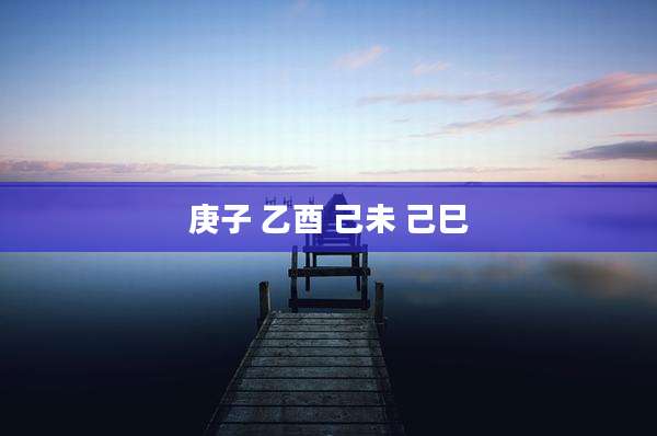 庚子 乙酉 己未 己巳