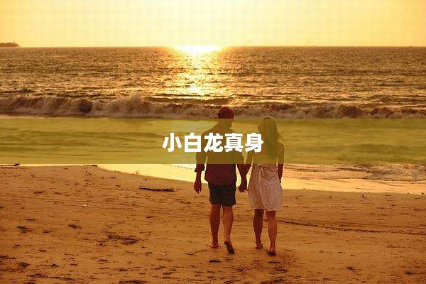 小白龙真身