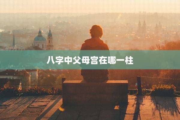 八字中父母宫在哪一柱