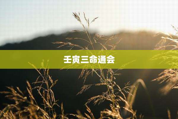 壬寅三命通会