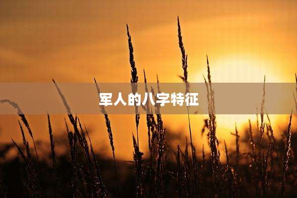军人的八字特征