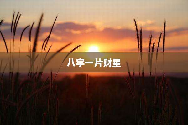 八字一片财星