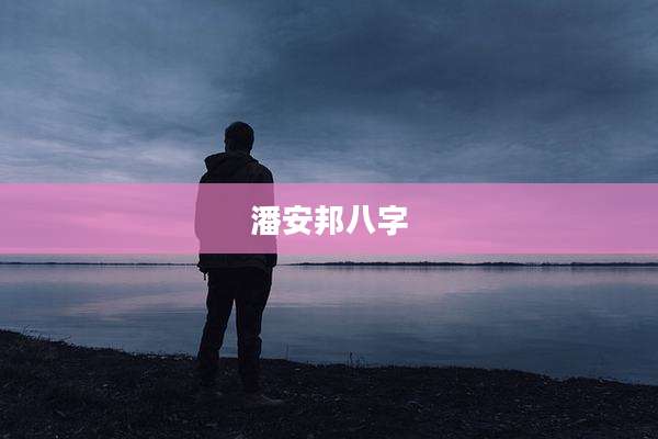 潘安邦八字