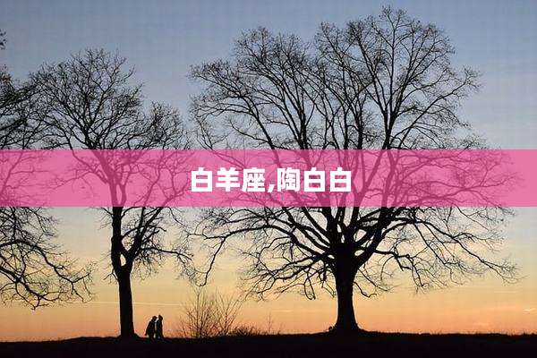 白羊座,陶白白