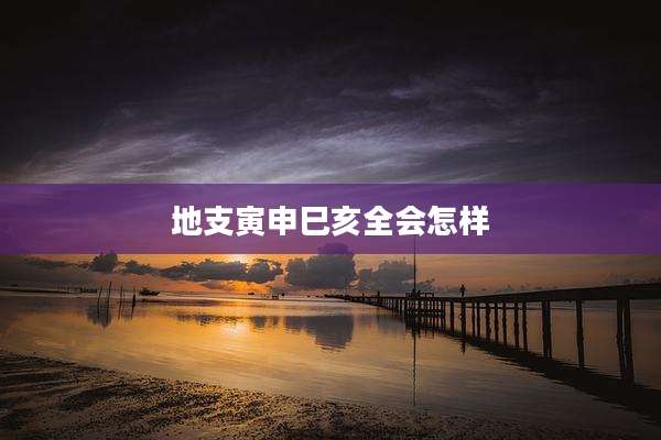 地支寅申巳亥全会怎样