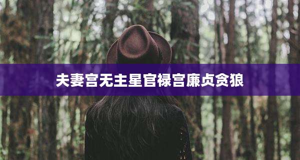 夫妻宫无主星官禄宫廉贞贪狼