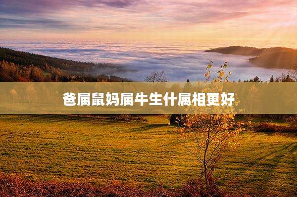爸属鼠妈属牛生什属相更好