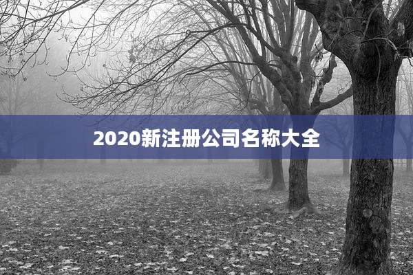 2020新注册公司名称大全