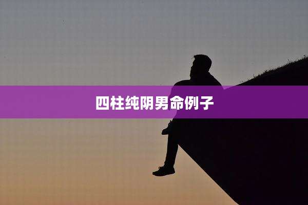 四柱纯阴男命例子