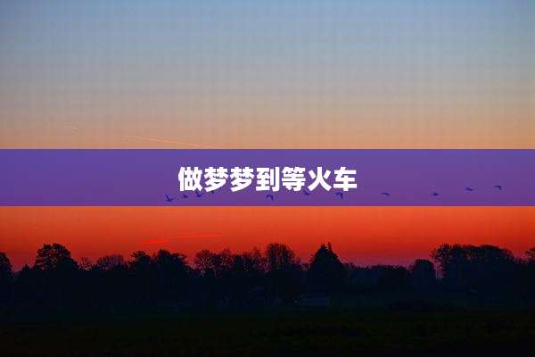 做梦梦到等火车