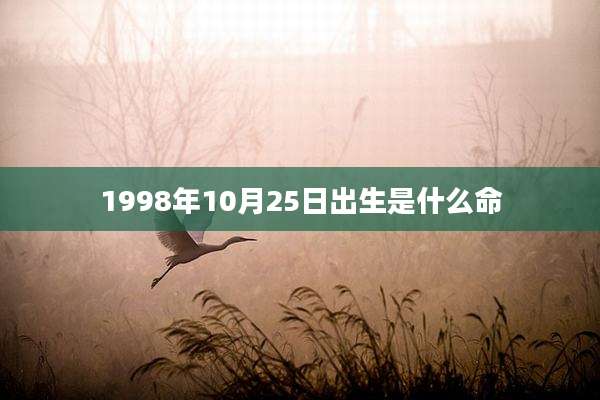 1998年10月25日出生是什么命