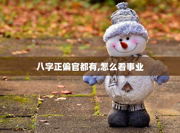 八字正偏官都有,怎么看事业