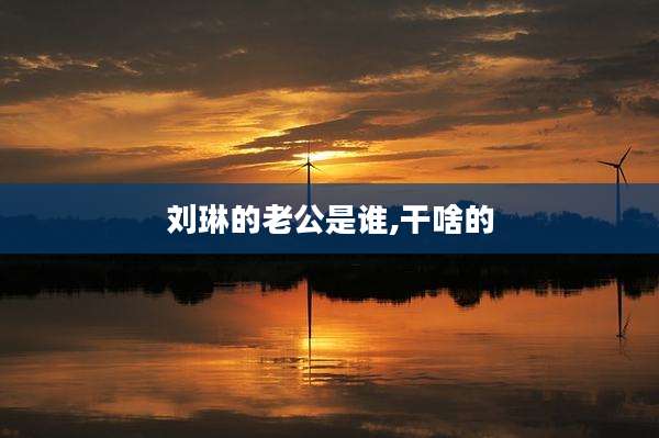 刘琳的老公是谁,干啥的
