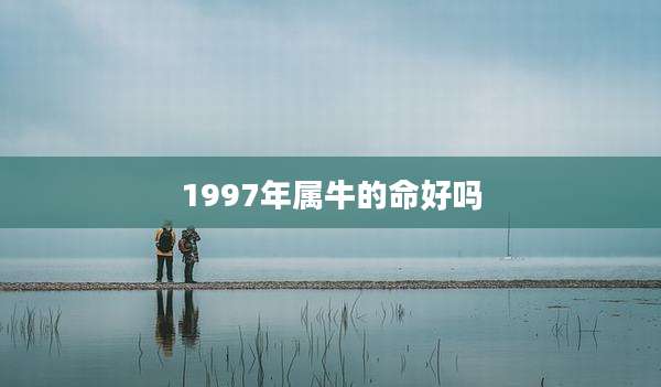 1997年属牛的命好吗