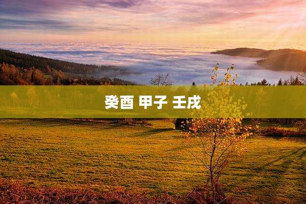 癸酉 甲子 壬戌