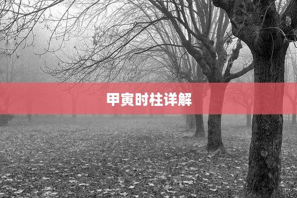 甲寅时柱详解