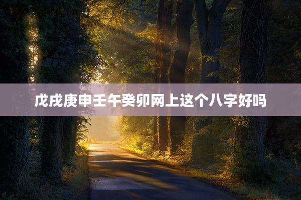 戊戌庚申壬午癸卯网上这个八字好吗