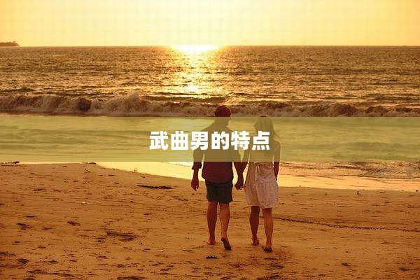 武曲男的特点