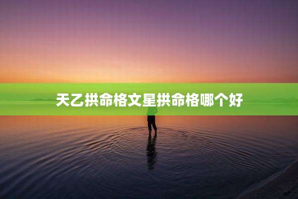 天乙拱命格文星拱命格哪个好