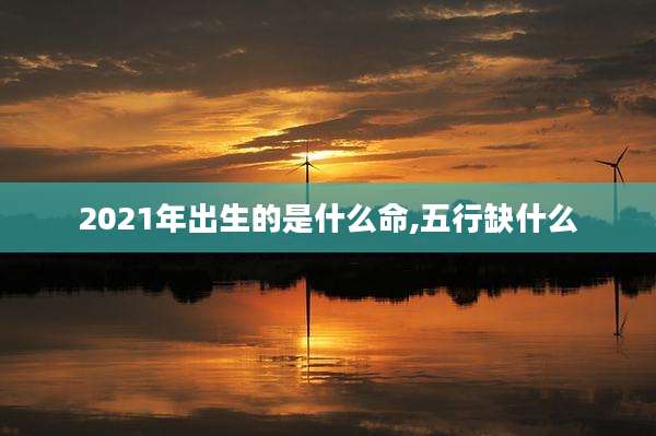 2021年出生的是什么命,五行缺什么