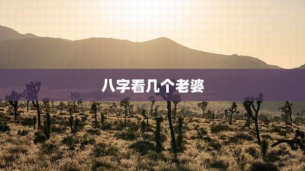 八字看几个老婆