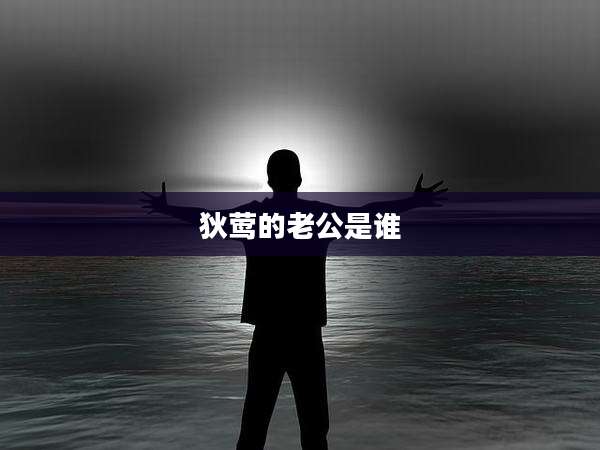狄莺的老公是谁