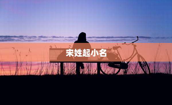 宋姓起小名