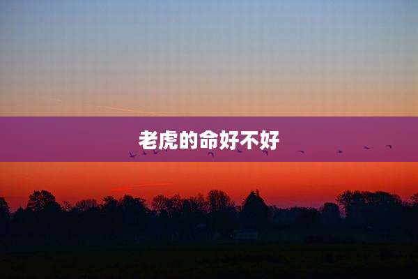 老虎的命好不好