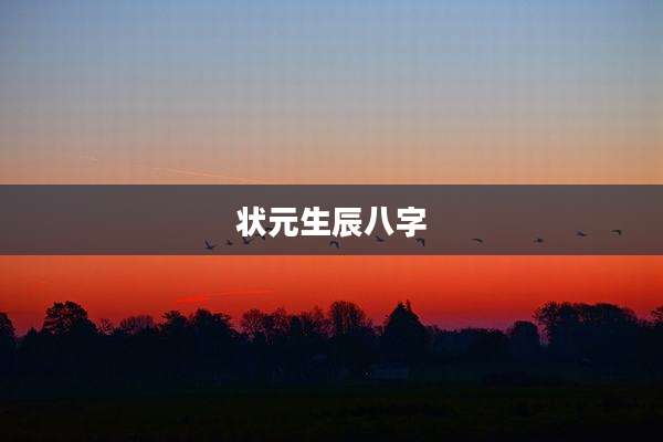 状元生辰八字