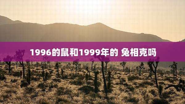 1996的鼠和1999年的 兔相克吗