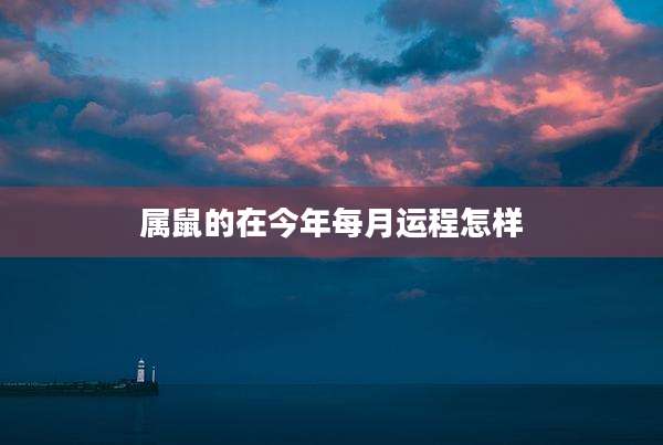 属鼠的在今年每月运程怎样