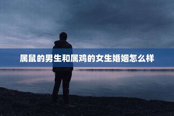 属鼠的男生和属鸡的女生婚姻怎么样