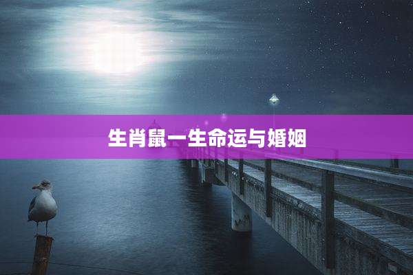 生肖鼠一生命运与婚姻