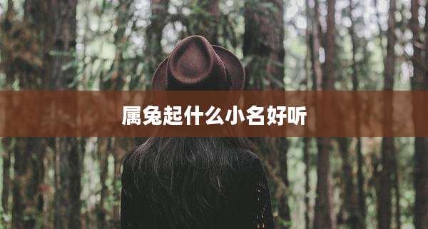属兔起什么小名好听