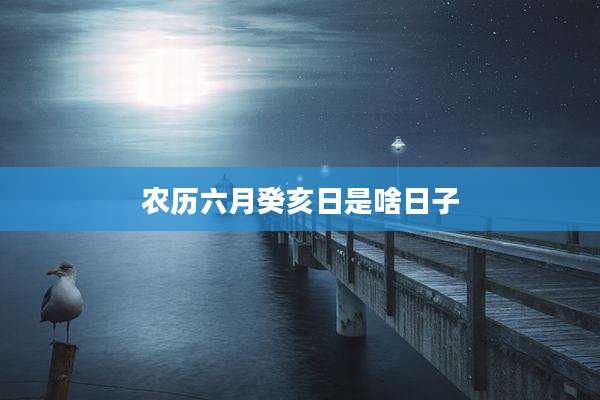 农历六月癸亥日是啥日子