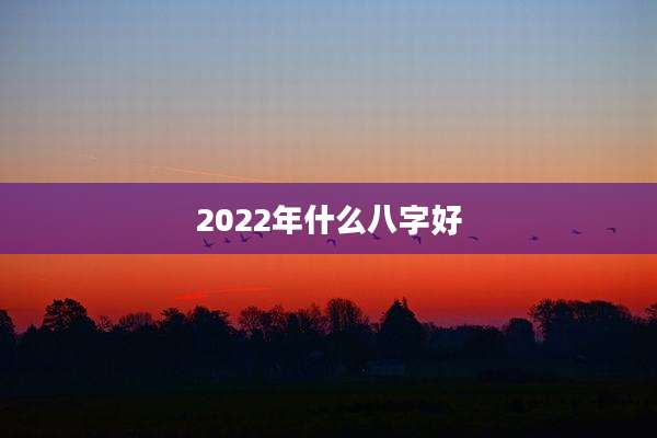 2022年什么八字好