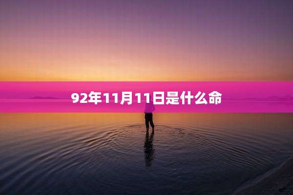 92年11月11日是什么命