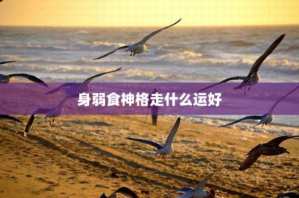 身弱食神格走什么运好