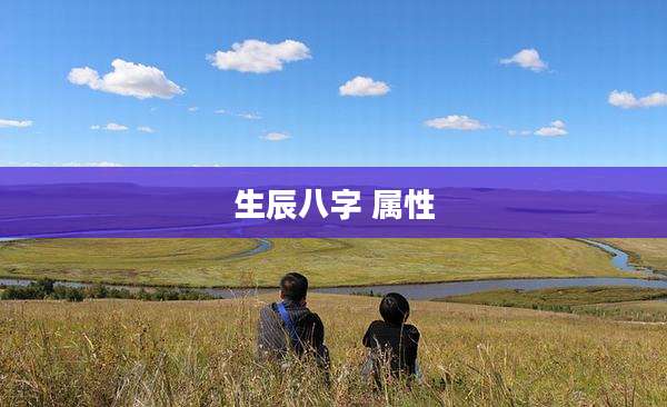 生辰八字 属性