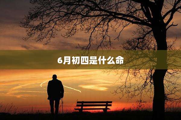 6月初四是什么命