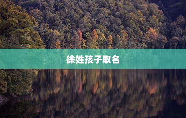 徐姓孩子取名