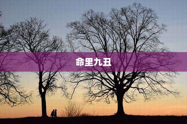 命里九丑
