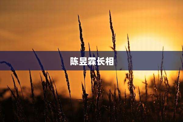 陈昱霖长相