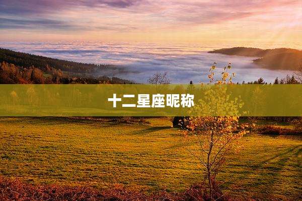 十二星座昵称