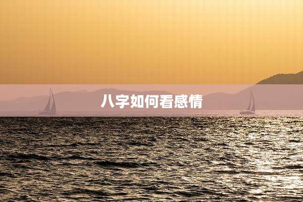 八字如何看感情