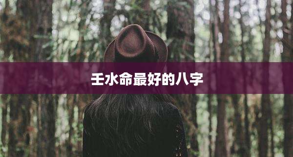 壬水命最好的八字
