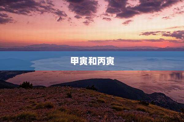 甲寅和丙寅