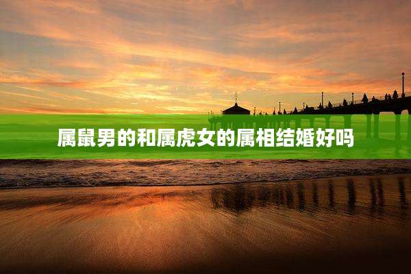 属鼠男的和属虎女的属相结婚好吗
